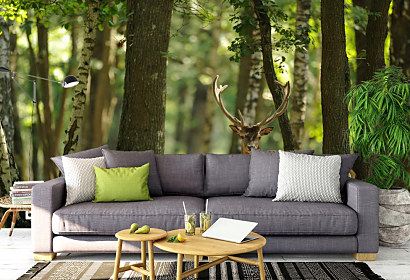 Fototapeta Jeleň v lese deer les forest stromy trees 